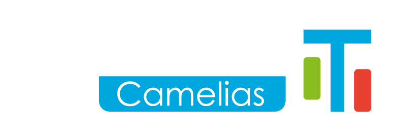logo parking camelias